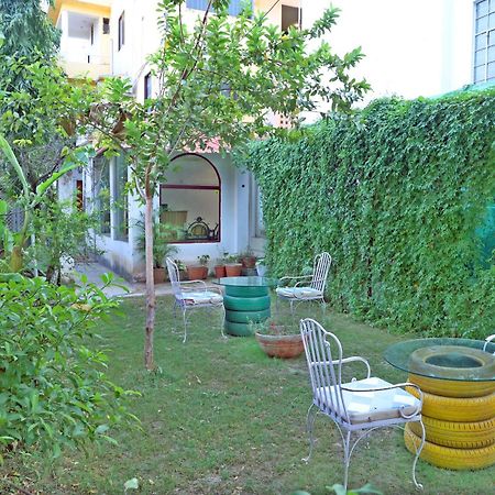 Hotel Tree Of Heaven أُودايبور المظهر الخارجي الصورة