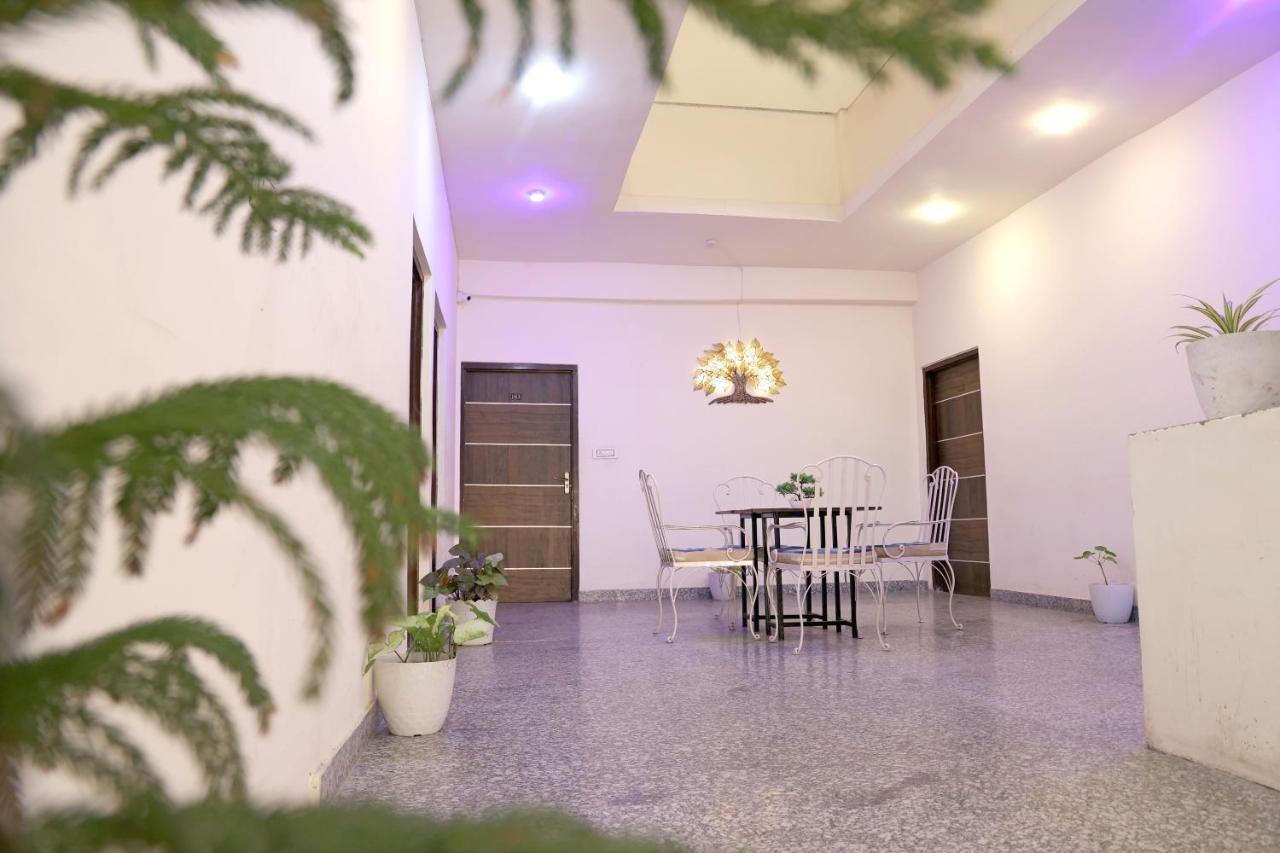 Hotel Tree Of Heaven أُودايبور المظهر الخارجي الصورة